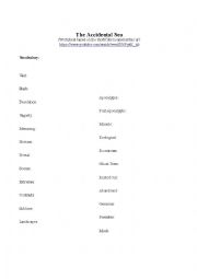 English Worksheet: The Accidental Sea  Part 1 Vocabulary