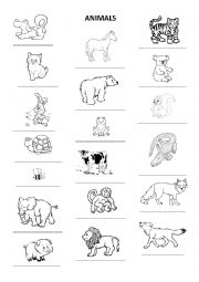 English Worksheet: Animals