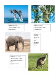 English Worksheet: Animals