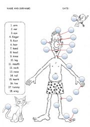 English Worksheet: Body - matching