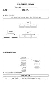 English Worksheet: Junior 3 - Science exam