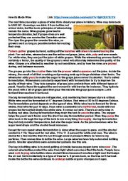English Worksheet: How Wine is Made