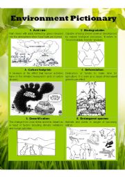 English Worksheet: Environment Pictionary Part I