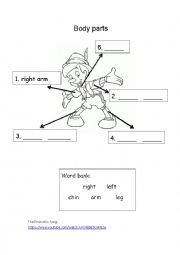 English Worksheet: The Pinocchio--Body Parts