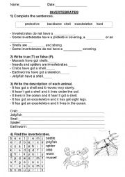 English Worksheet: Invertebrates