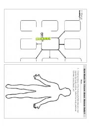 English Worksheet: Human Body pre assessment Page 1