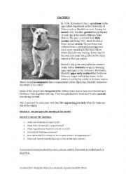 English Worksheet: HACHIKO