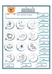 English Worksheet: write the correct numbers