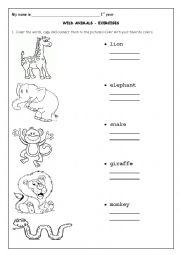 English Worksheet: Wild animals 