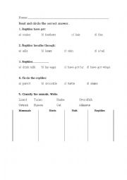 Reptiles worksheet