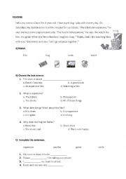 English Worksheet: reading comprehension