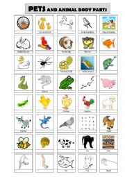 English Worksheet: Pets and animal body parts - to fill in