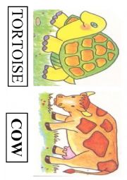 English Worksheet: animals