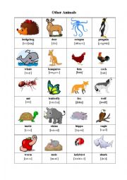 English Worksheet: Other Animals