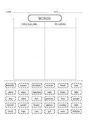 English Worksheet: SINGULAR AND PLURAL