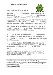 English Worksheet: The Life Cycle of A Frog