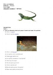 English Worksheet: reptiles