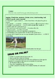 English Worksheet: Cricket  