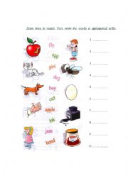 English Worksheet: Alphabet