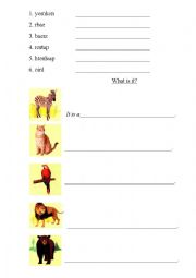 English Worksheet: Animals (Beginner)