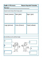 English Worksheet: Parts of the body.