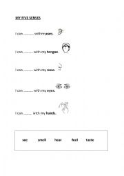 English Worksheet: FIVE SENSES