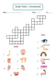 English Worksheet: Body Parts - Crossword