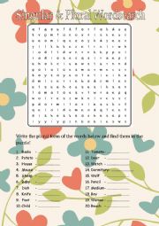 English Worksheet: singular plural word search