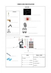 Crime scene vocabulary - 4me