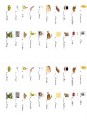 English Worksheet: Food quantifiers