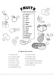 English Worksheet: fruits