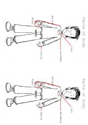 English Worksheet: parts of body-1