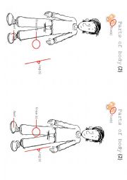 English Worksheet: parts of body 2