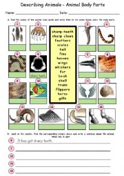 English Worksheet: Describing Animals: Animal Body Parts
