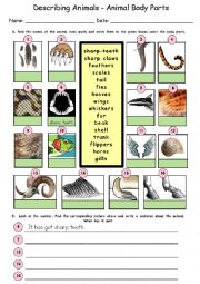 Describing Animals: Animal Body Parts