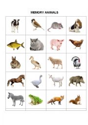 English Worksheet: Flash cards - Memory animals