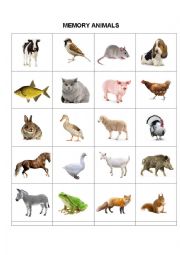 Flash cards - Memory animals