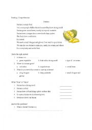 English Worksheet: READING COMPREHENSION