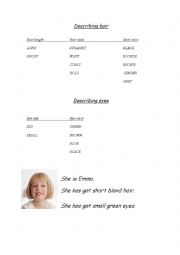 English Worksheet: Hair description