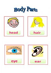 English Worksheet: Body Parts