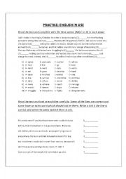 English Worksheet: Practice: English in Use