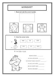 English Worksheet: Parts of the body