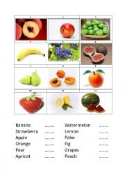 English Worksheet: Fruit Names