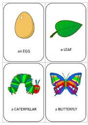 English Worksheet: The very hungry caterpillar - FLASHCARDS