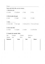 English Worksheet: Fish charactheristics