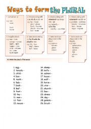 English Worksheet: Plurals