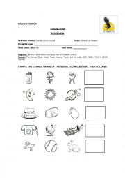 English Worksheet: The five senses