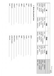 English Worksheet: Plurals Starter