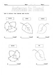 English Worksheet: Autumn Colours