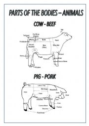English Worksheet: Animals - Body Parts